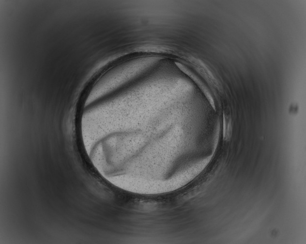 X0000102820531200809081133