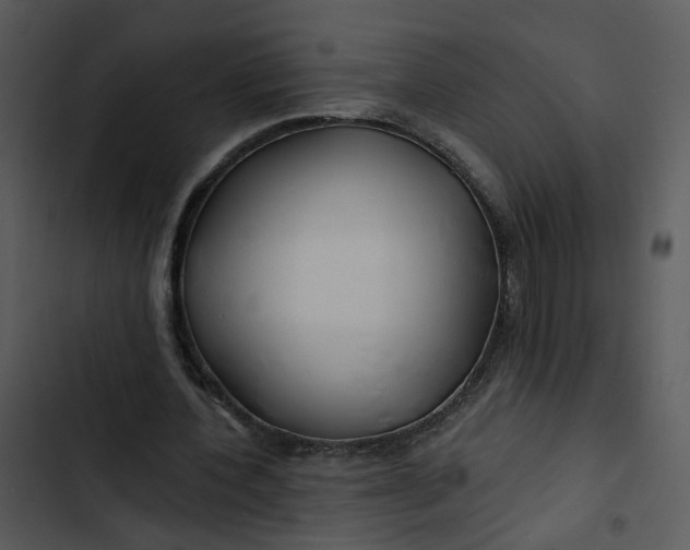 X0000102820532200809081133