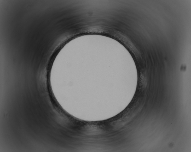 X0000102820534200809081133