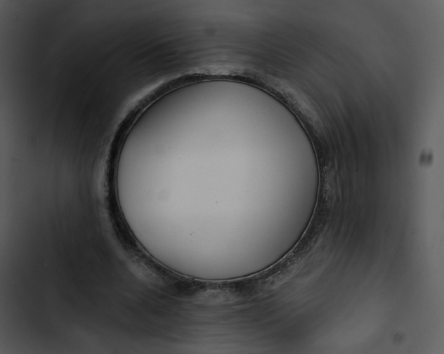 X0000102820536200809081133