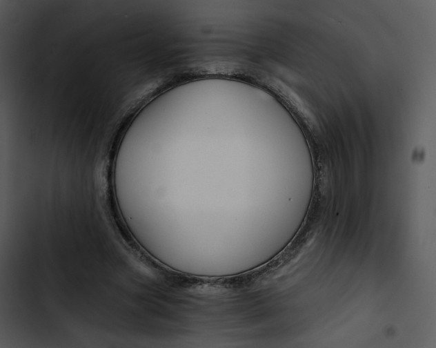 X0000102820537200809081133