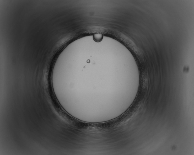 X0000102820538200809081133