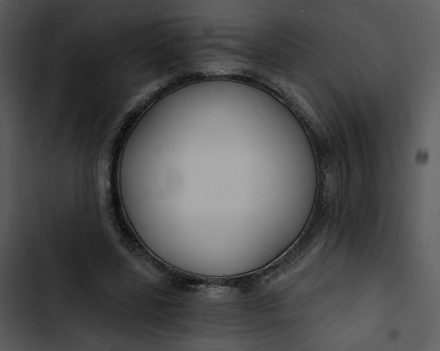 X0000102820539200809081133