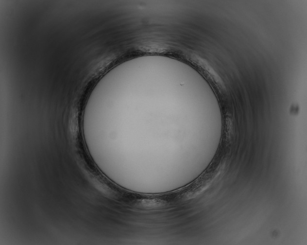 X0000102820541200809081133