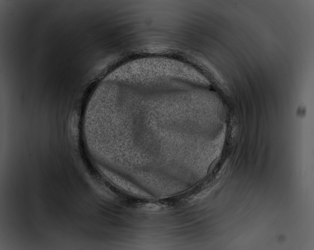 X0000102820542200809081133