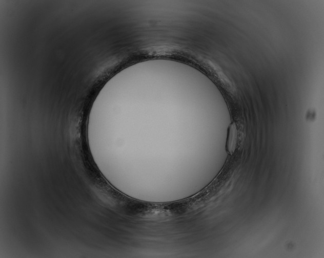 X0000102820543200809081133