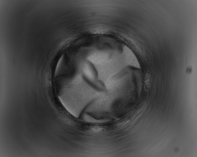 X0000102820547200809081133