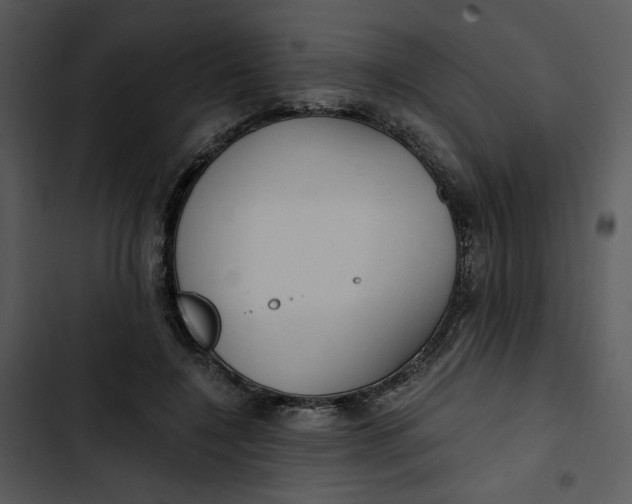 X0000102820548200809081133