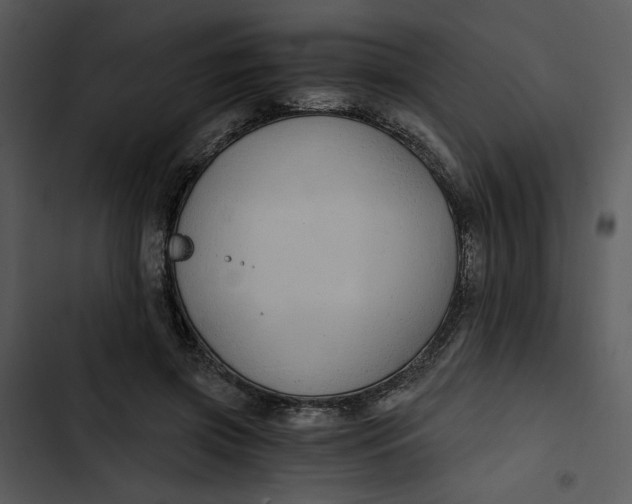 X0000102820549200809081133