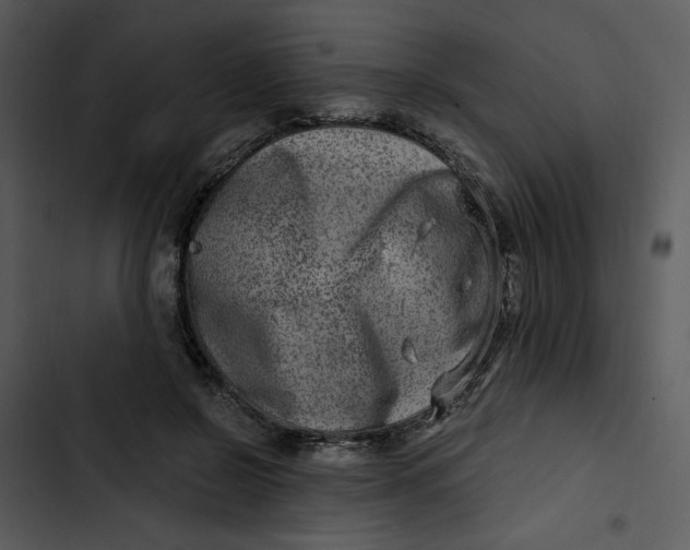 X0000102820550200809081133