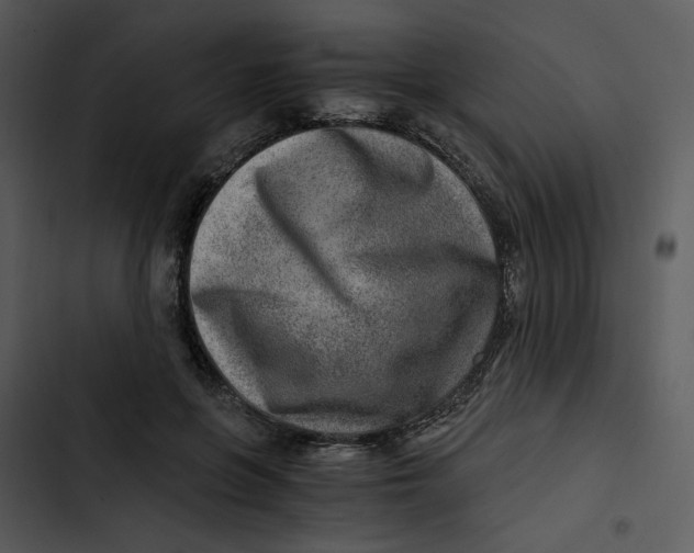 X0000102820551200809081133