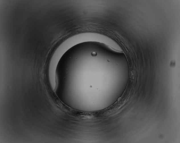 X0000102820552200809081133