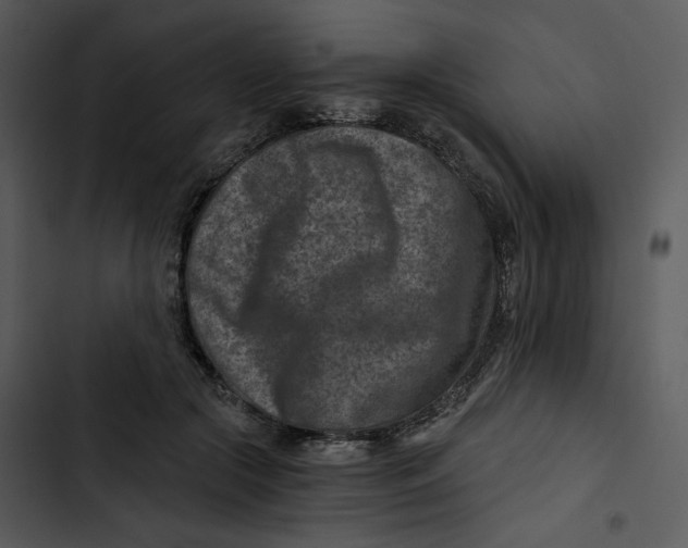 X0000102820553200809081133