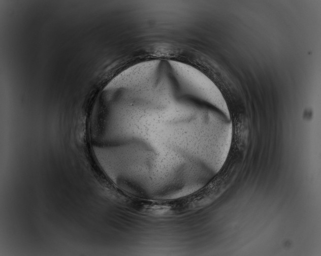 X0000102820554200809081133