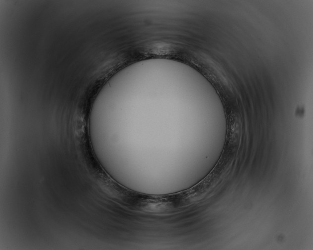 X0000102820555200809081133