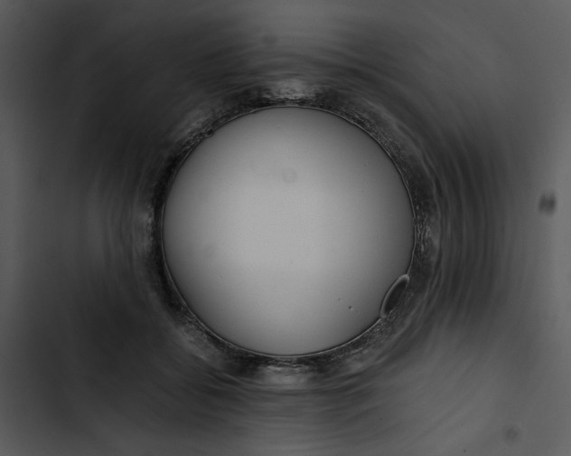 X0000102820556200809081133