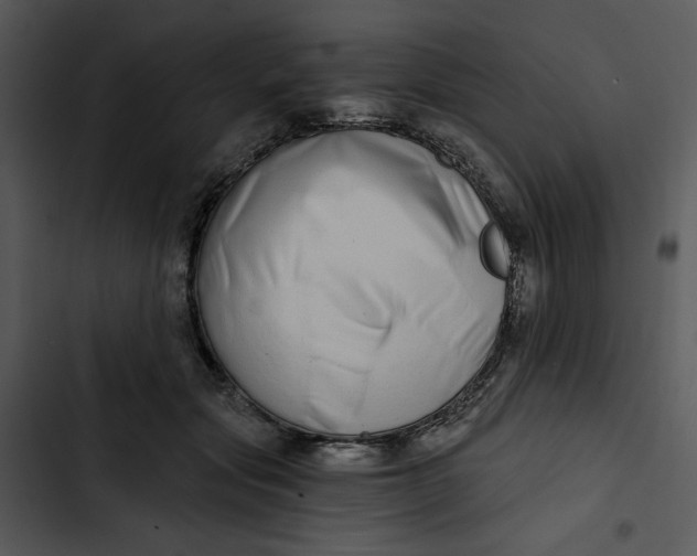 X0000102820557200809081133