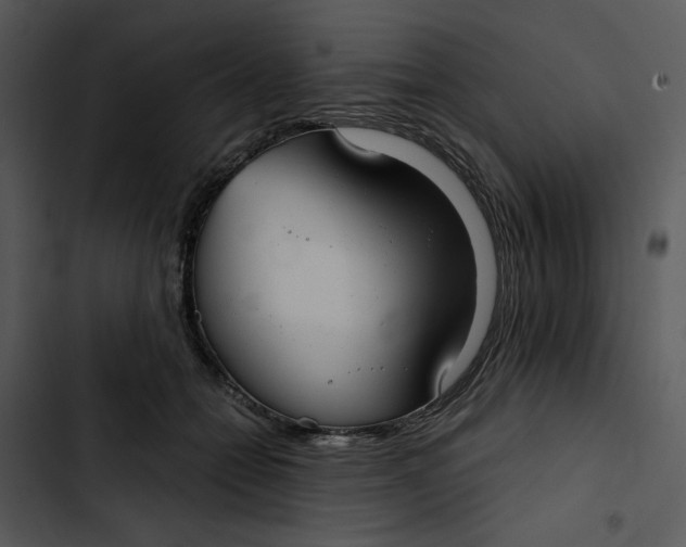 X0000102820558200809081133