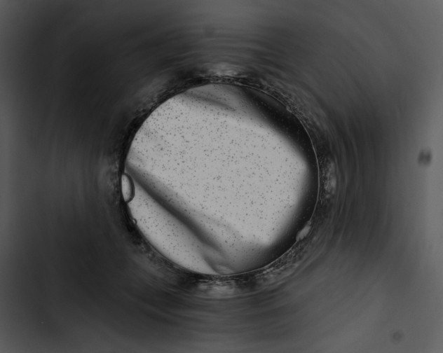 X0000102820559200809081133