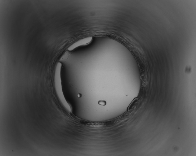 X0000102820560200809081133