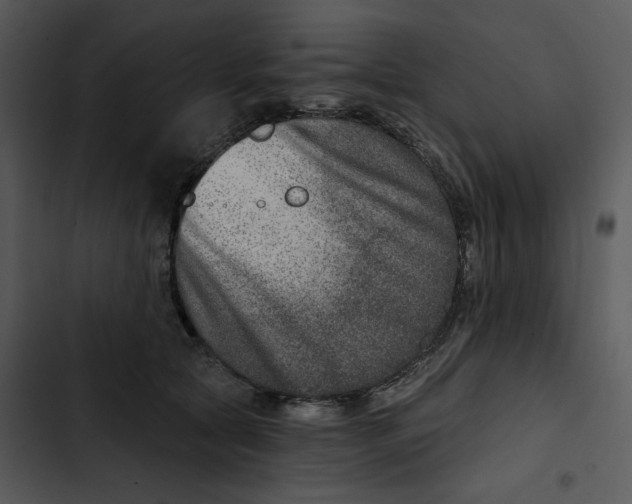 X0000102820561200809081133