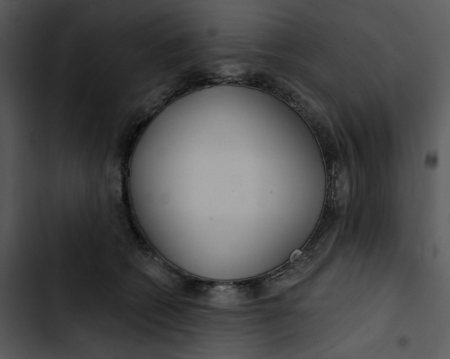 X0000102820562200809081133