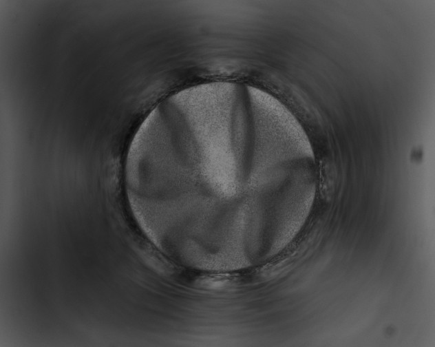 X0000102820563200809081133