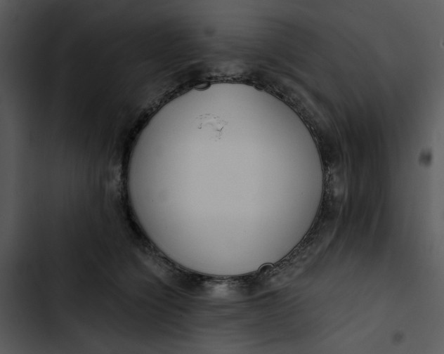 X0000102820564200809081133