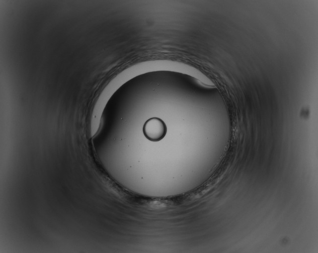 X0000102820566200809081133