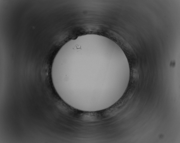 X0000102820567200809081133