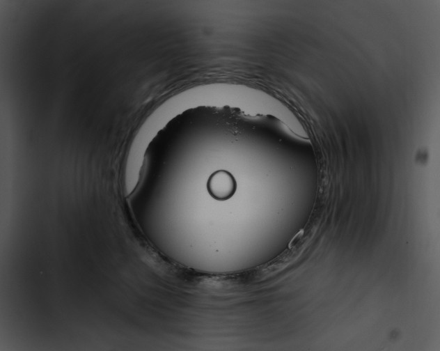 X0000102820568200809081133