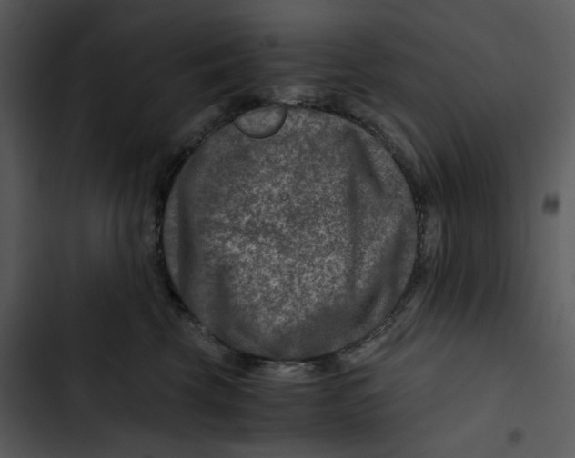 X0000102820569200809081133