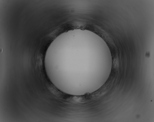 X0000102820570200809081133