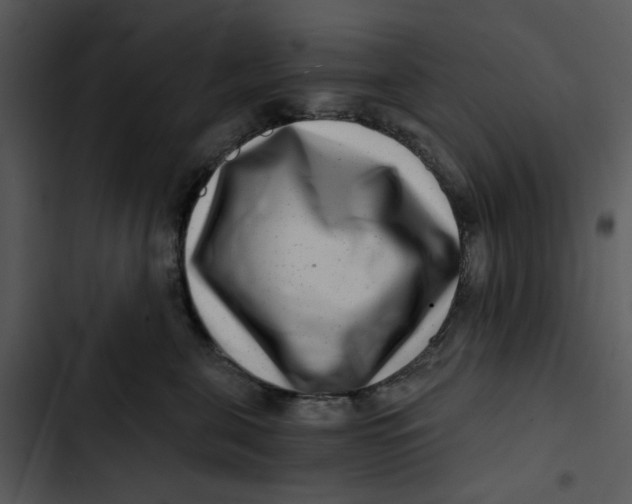 X0000102820571200809081133