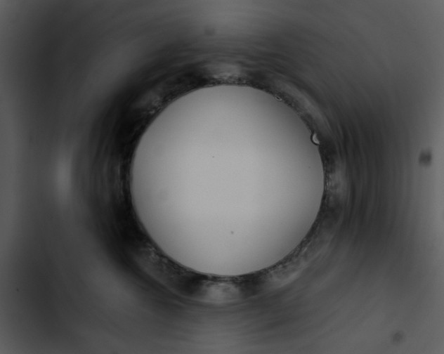 X0000102820572200809081133