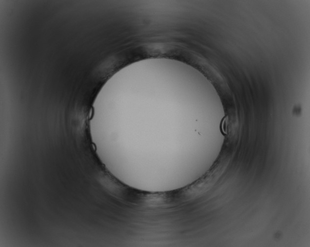 X0000102820574200809081134