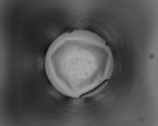 X0000102820576200809081134