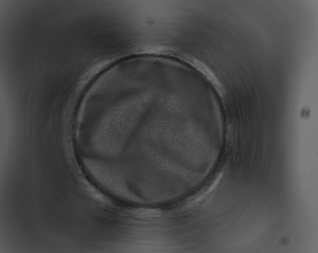 X0000102820577200809081133