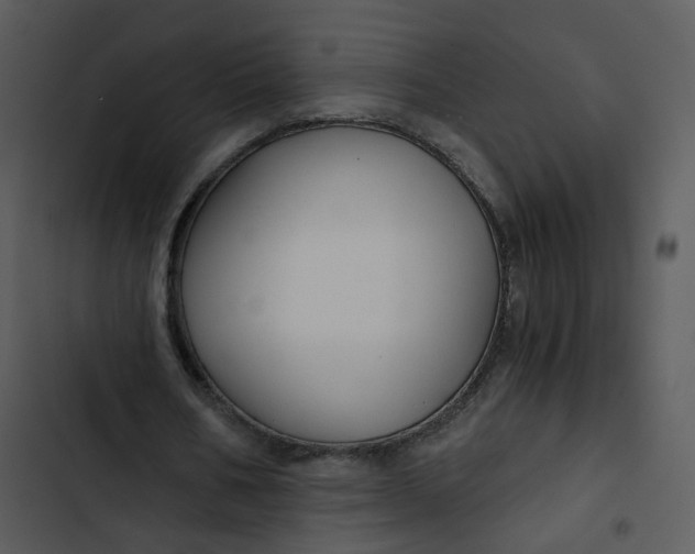 X0000102820578200809081133