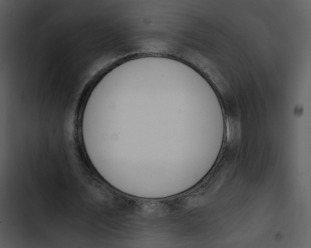 X0000102820579200809081133