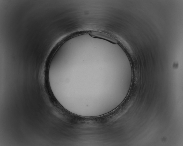 X0000102820580200809081133