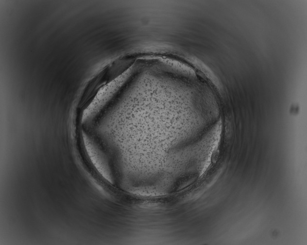 X0000102820581200809081133