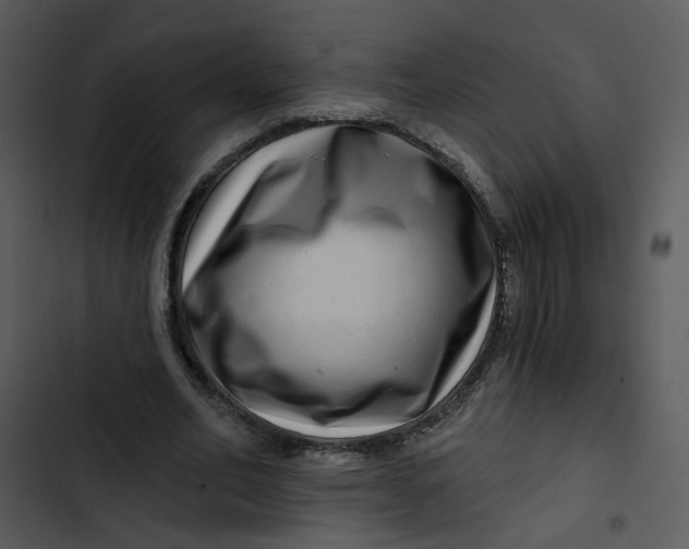 X0000102820582200809081133