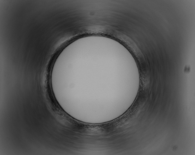 X0000102820583200809081133