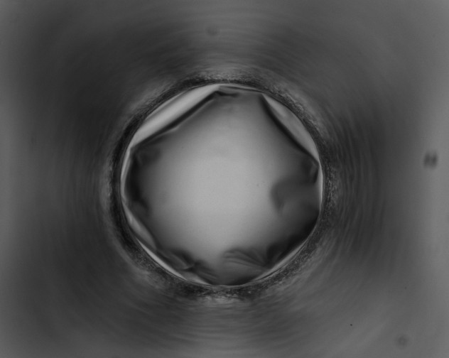 X0000102820586200809081133