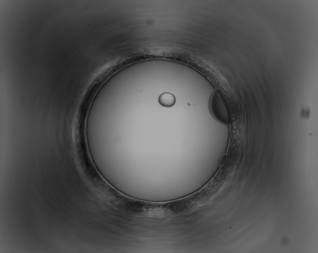 X0000102820587200809081133