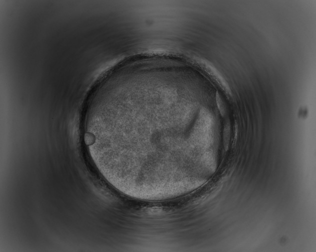 X0000102820588200809081133