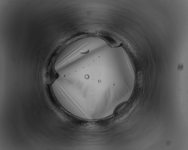 X0000102820589200809081133