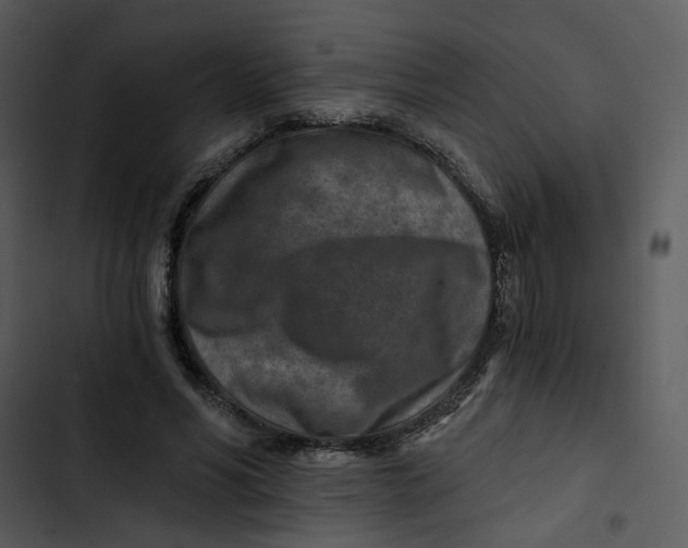 X0000102820590200809081133