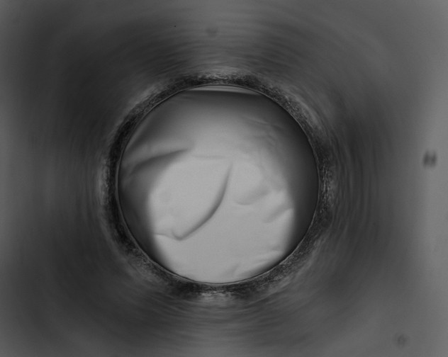 X0000102820591200809081133